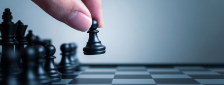 Conseil stratégique